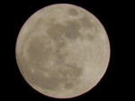 s2011-03-19_21.03.35.jpg